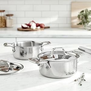 New! 2 All-Clad Stainless Steel Silver Metal 0.5 qt Cocottes Casserole Broiler